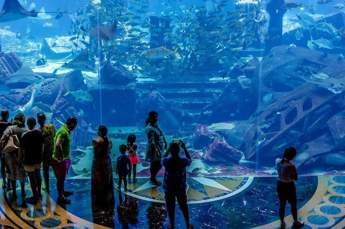 Dubai Aquarium and Underwater zoo