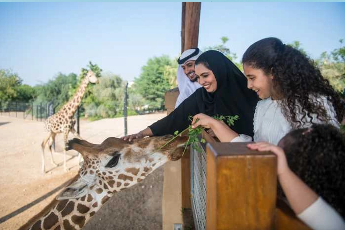 Al Ain Zoo Tour