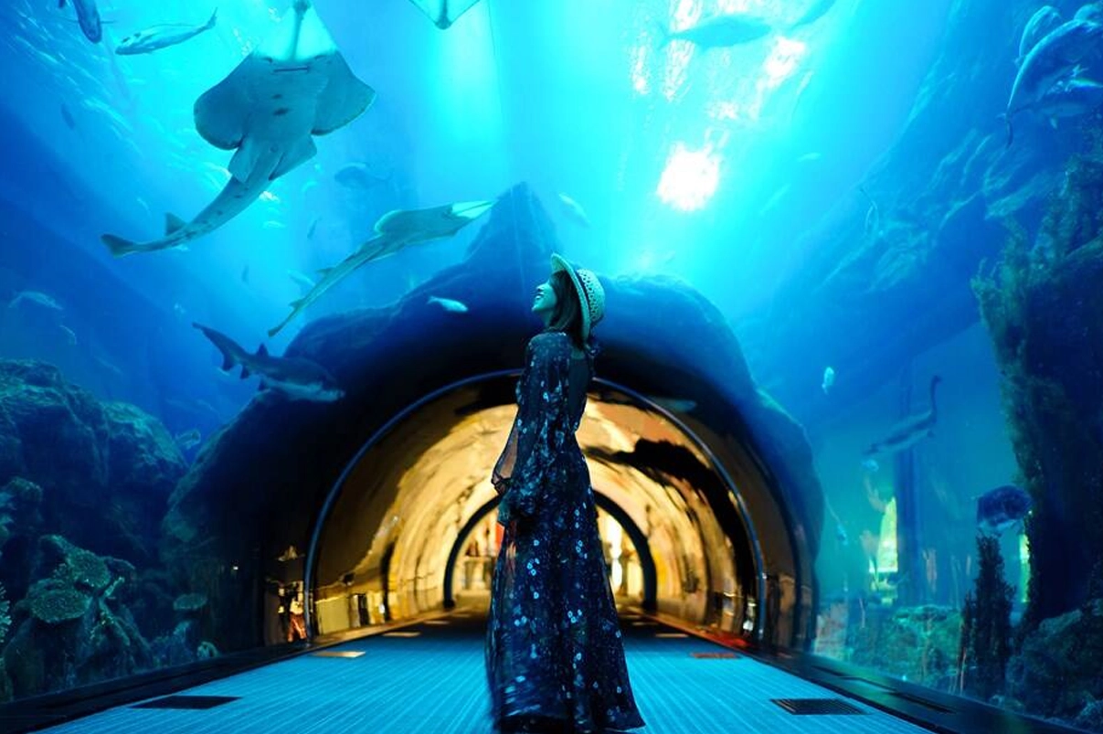 Trip to Dubai Aquarium