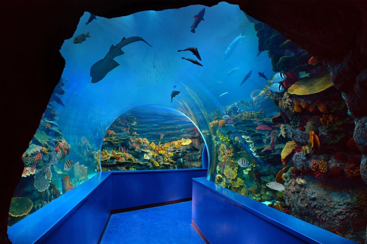 Trip to Sharjah Aquarium