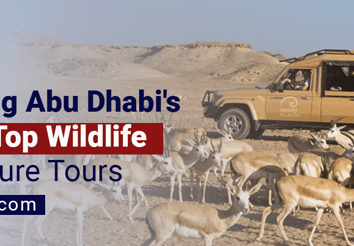 wildlife in Abu Dhabi