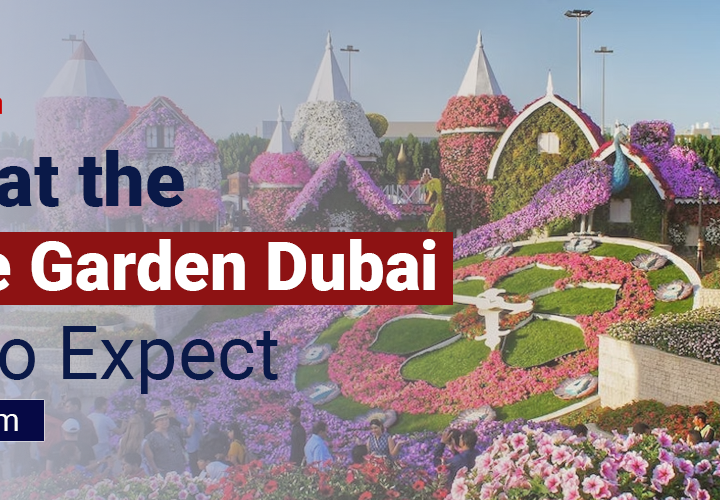 Miracle Garden Dubai