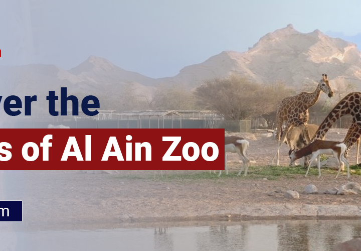 Al Ain Zoo